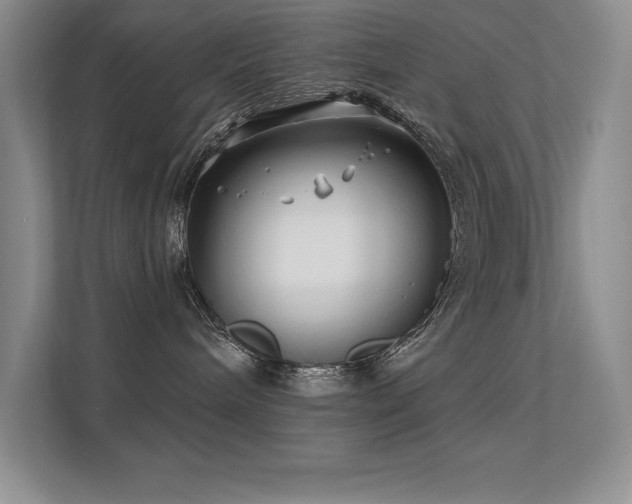 X0000112390240200908131555