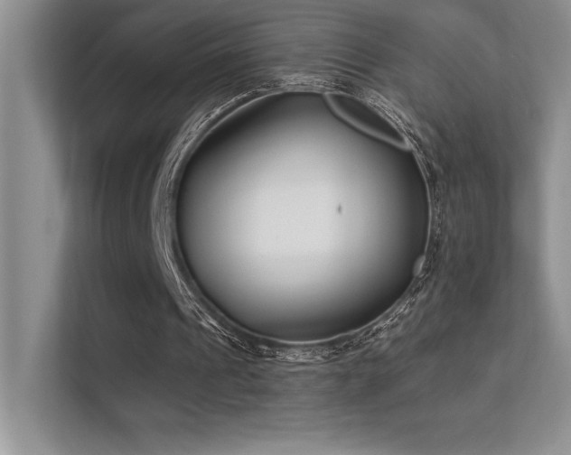 X0000112390241200908131554