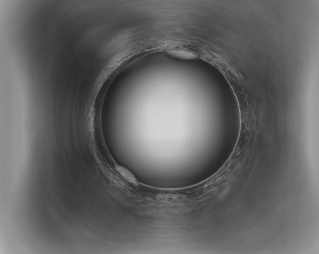 X0000112390242200908131554