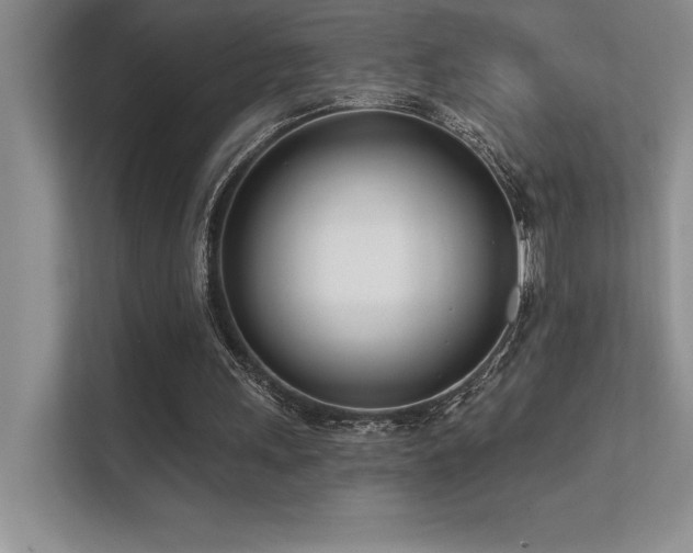 X0000112390243200908131554