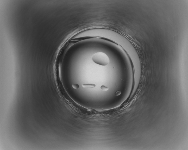 X0000112390244200908131554