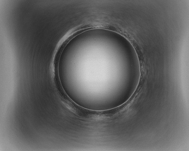 X0000112390246200908131554