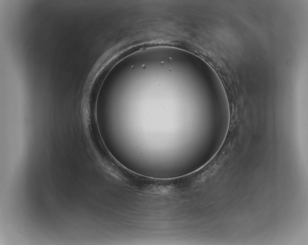 X0000112390247200908131554