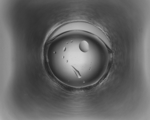 X0000112390248200908131554