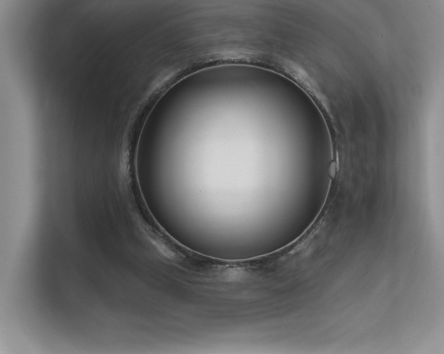 X0000112390249200908131554