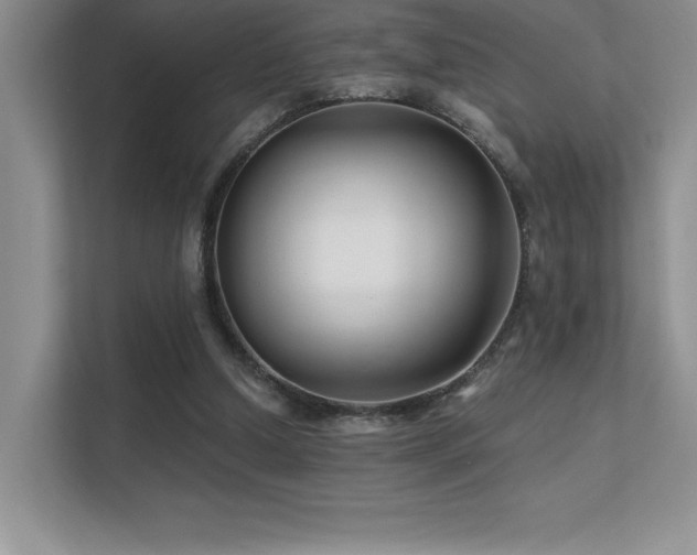 X0000112390250200908131554