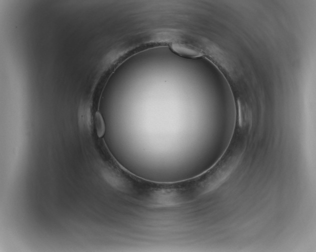 X0000112390252200908131555