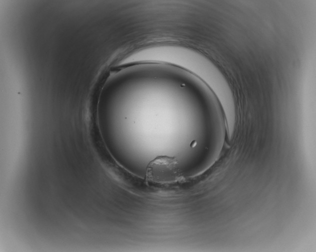 X0000112390256200908131555