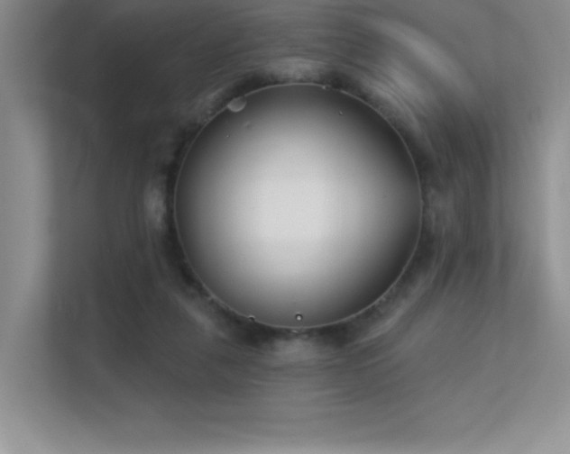 X0000112390259200908131555