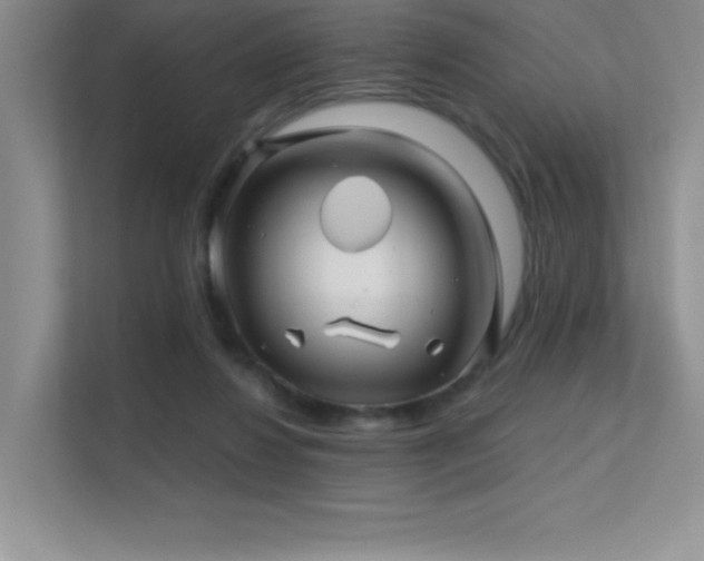 X0000112390260200908131555