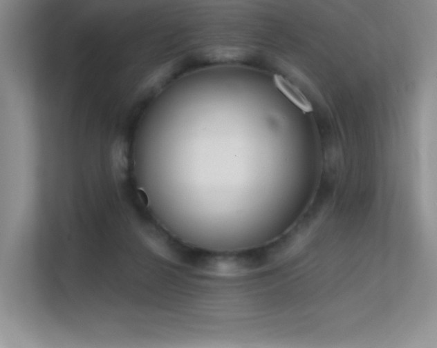 X0000112390264200908131555