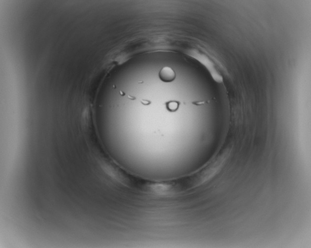 X0000112390265200908131555