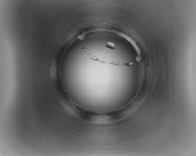 X0000112390266200908131555