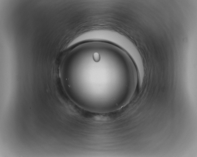 X0000112390272200908131555