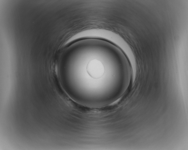 X0000112390276200908131555