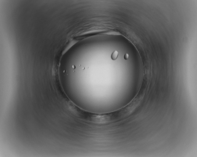 X0000112390277200908131555