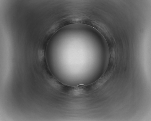 X0000112390278200908131555