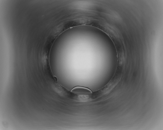 X0000112390279200908131555