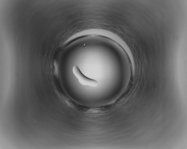 X0000112390280200908131555