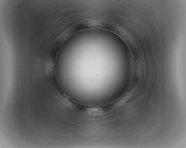 X0000112390281200908131555