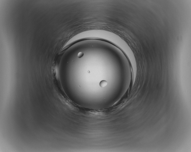 X0000112390284200908131555