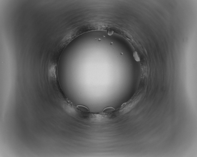 X0000112390286200908131555