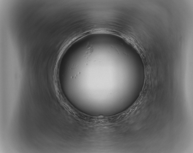 X0000112390289200908131554