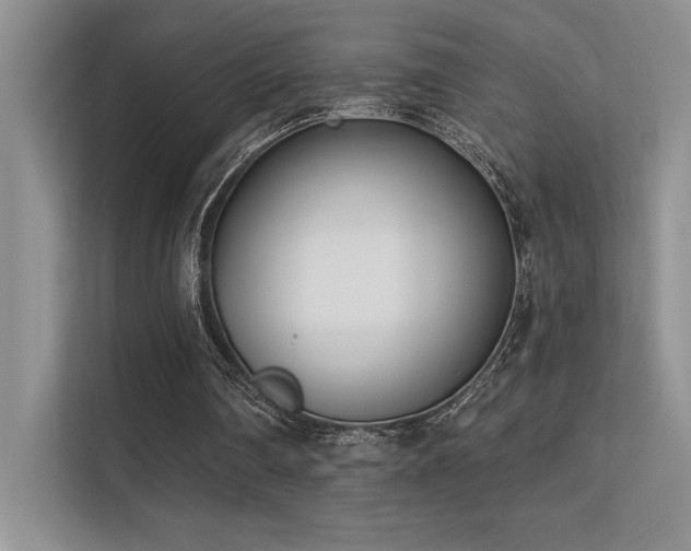 X0000112390290200908131554