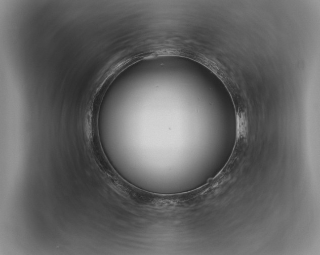 X0000112390291200908131554