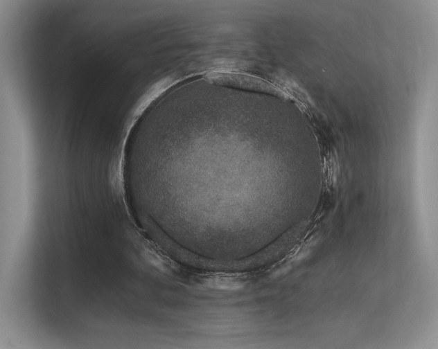 X0000112390292200908131554