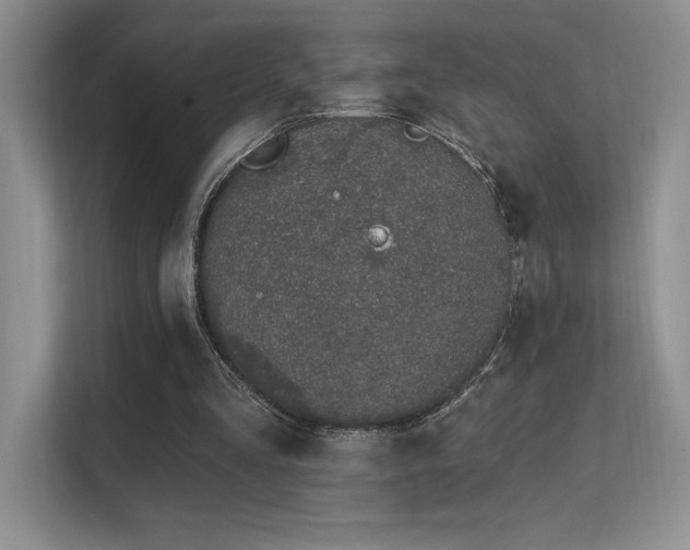 X0000112390293200908131554