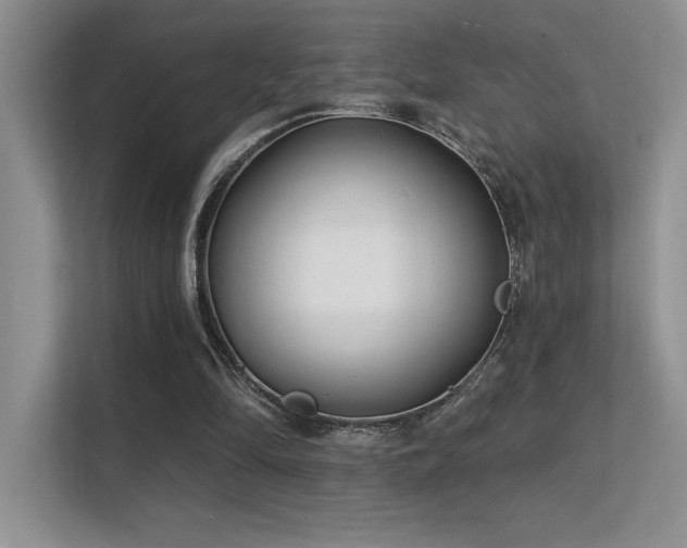 X0000112390294200908131554