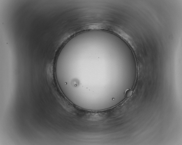 X0000112390297200908131554