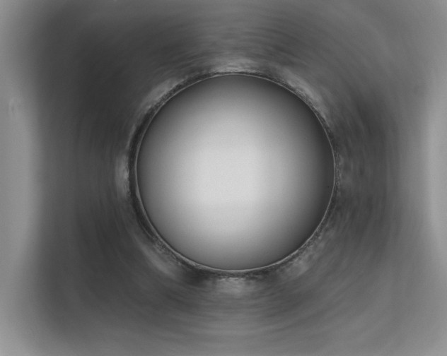 X0000112390298200908131554