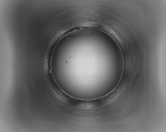 X0000112390299200908131554