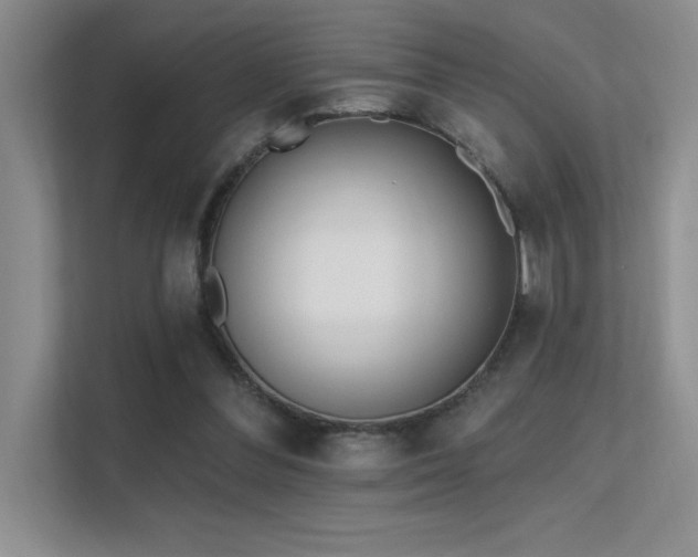 X0000112390300200908131554