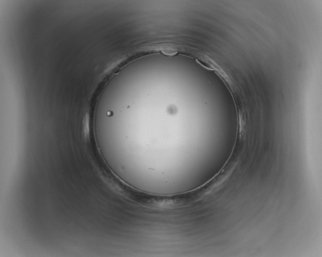 X0000112390301200908131554