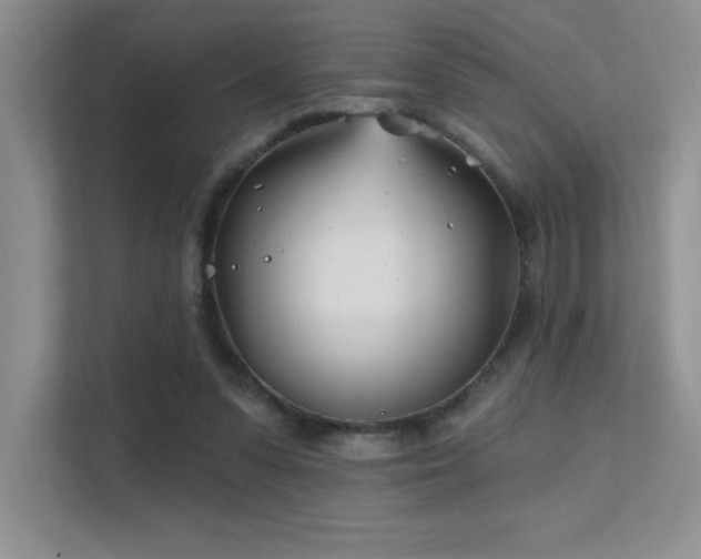 X0000112390303200908131554