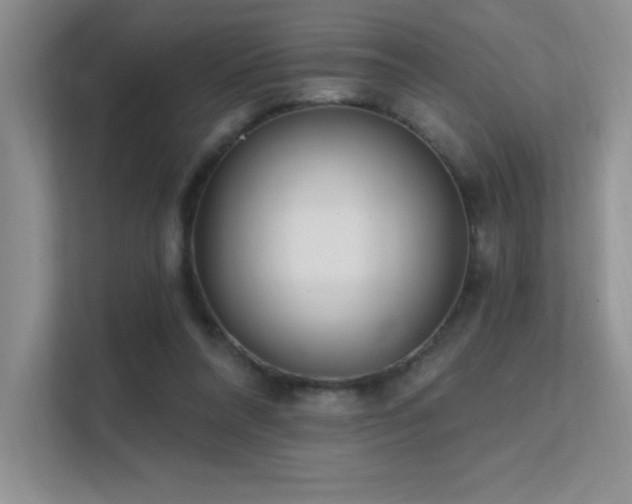 X0000112390304200908131554