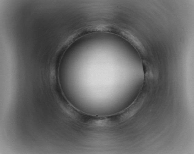 X0000112390306200908131554