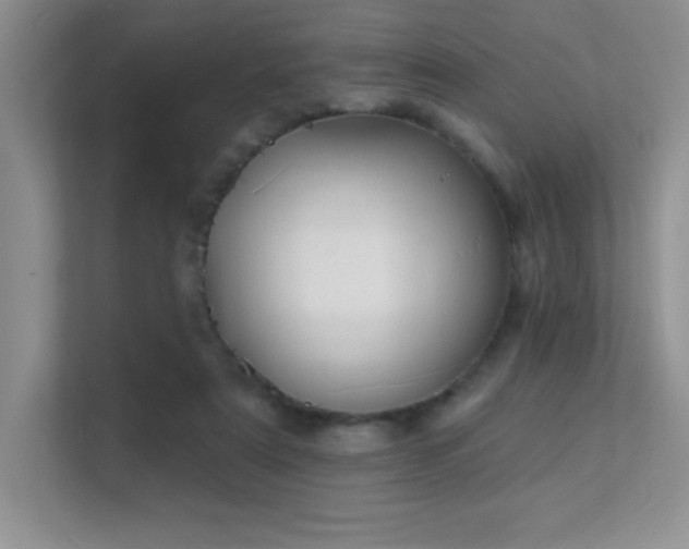 X0000112390307200908131554