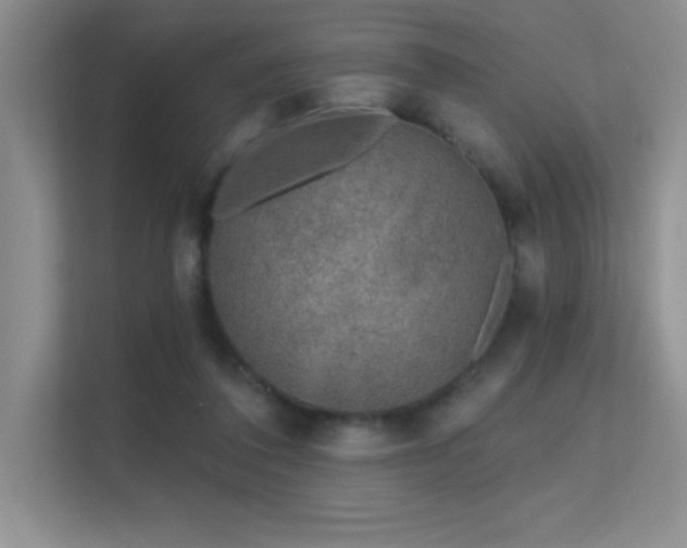 X0000112390308200908131554