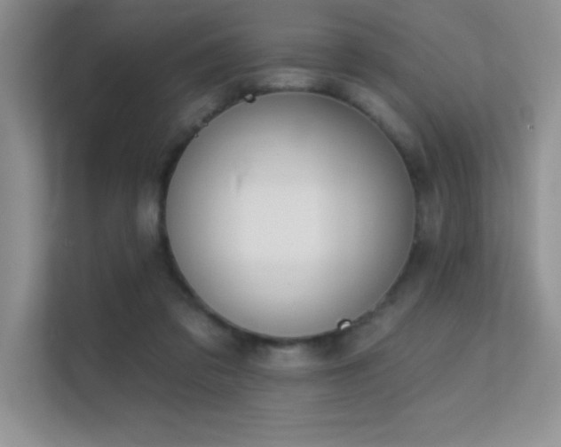 X0000112390309200908131554