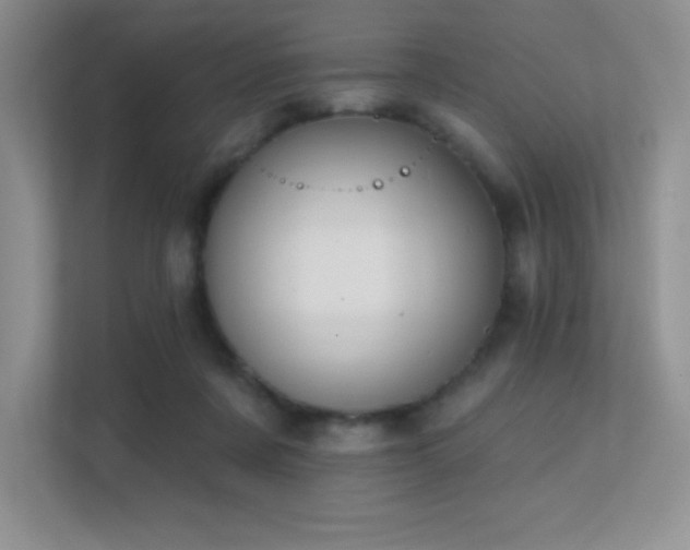 X0000112390311200908131554