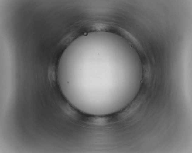 X0000112390313200908131554