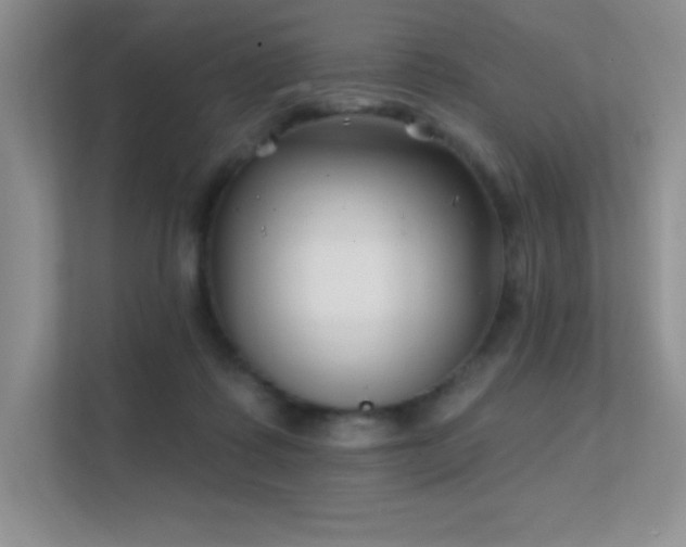 X0000112390315200908131554