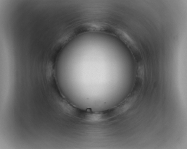 X0000112390318200908131554