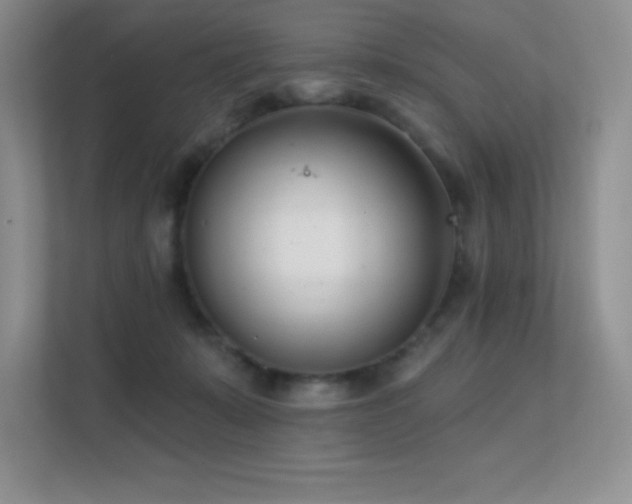 X0000112390319200908131554