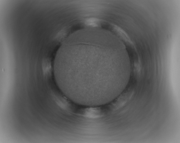 X0000112390320200908131554