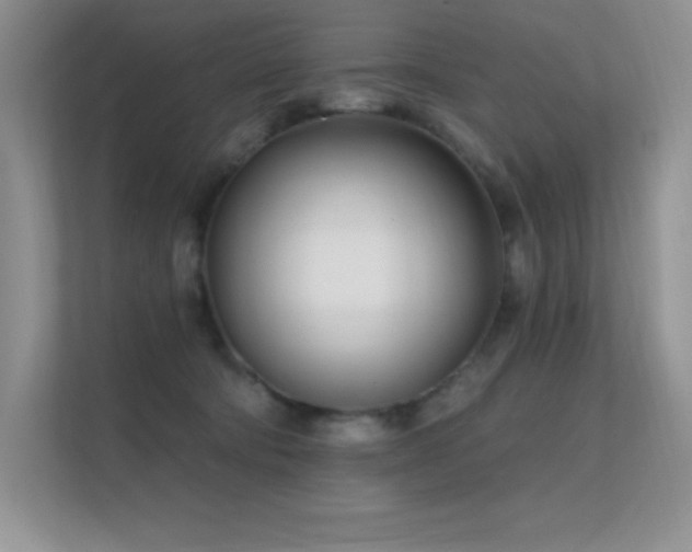 X0000112390322200908131554